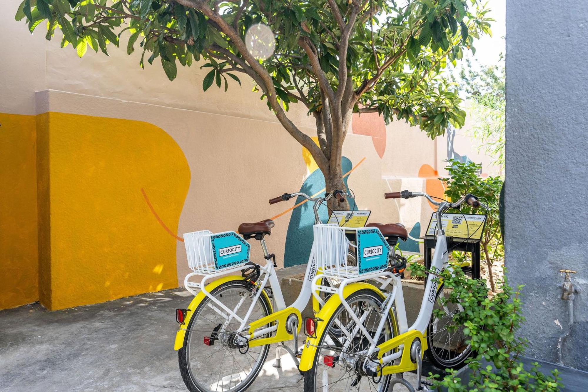 Curiocity Kloof Street Ciudad del Cabo Exterior foto